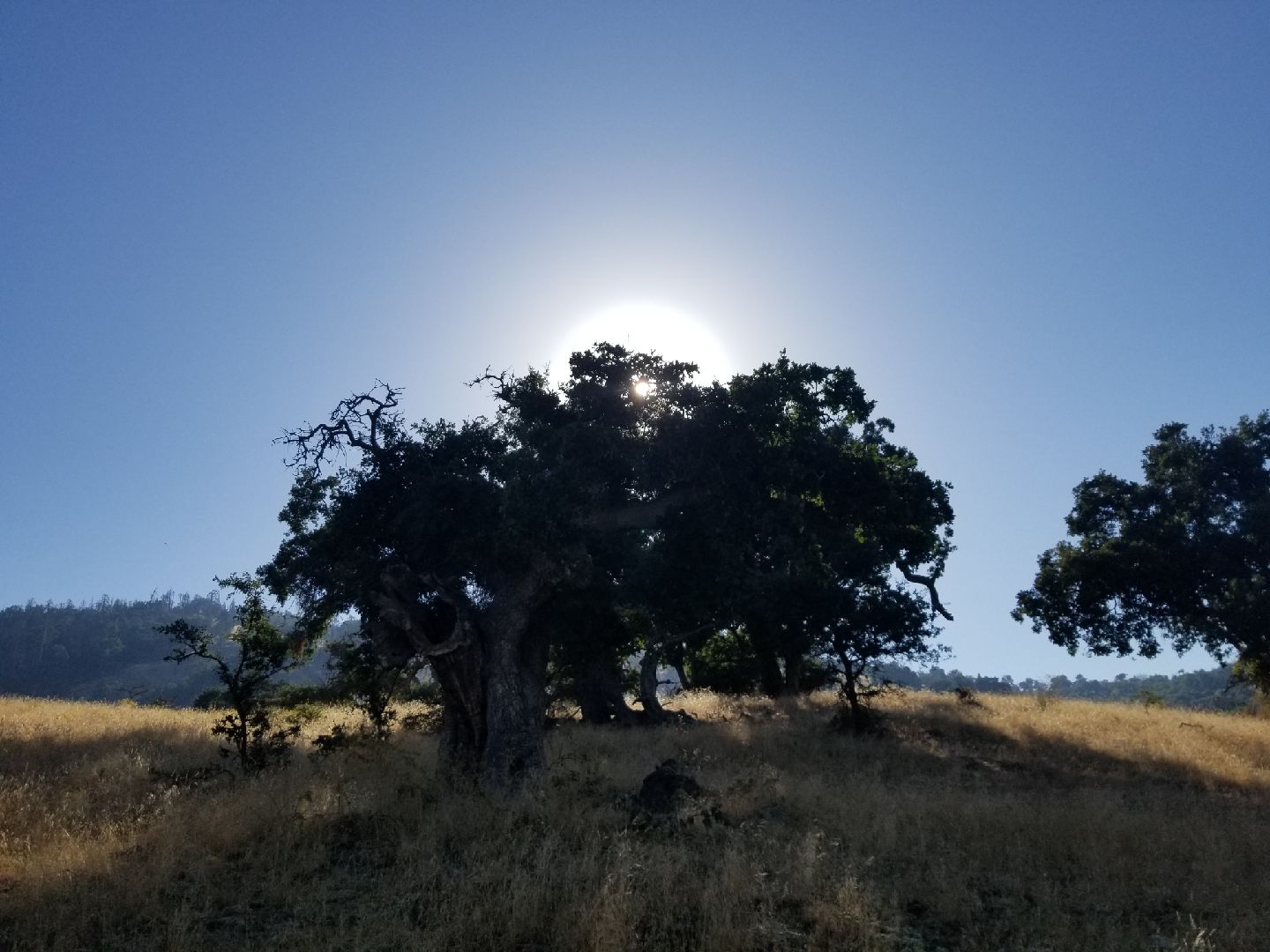 The Creator’s Name