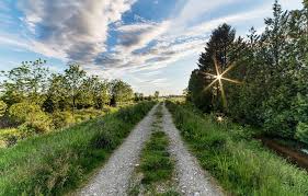 Texts, Numbers, And Communication