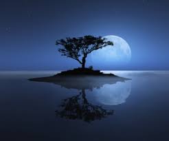 What Happens On Earth